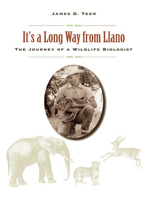 cover image of It's a Long Way from Llano